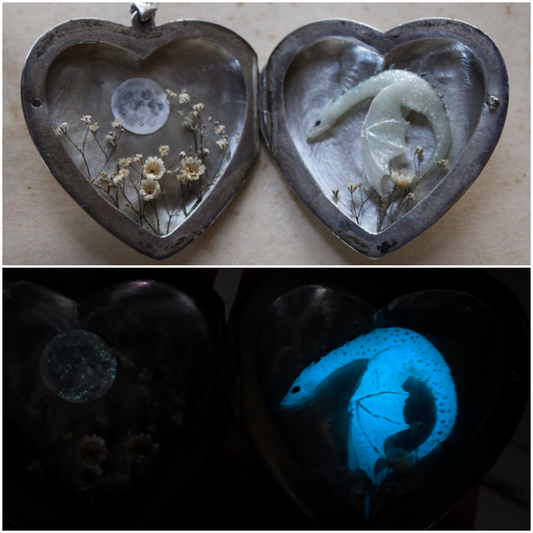 Made of Moonlight | Vintage Locket