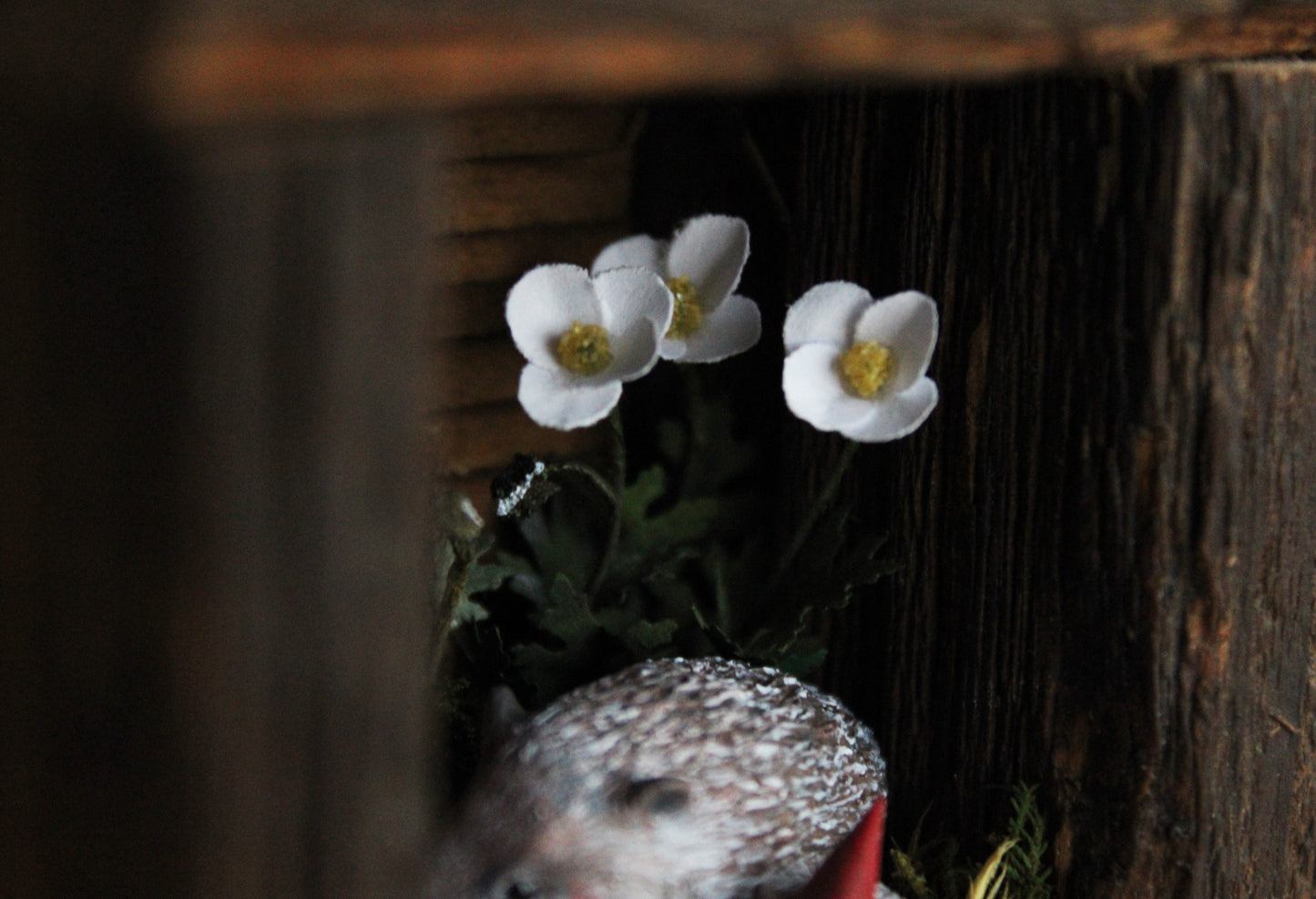 A Hedgehog Family | Wooden Shadowbox