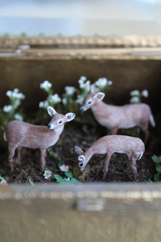 A Memory of Spring | Glass Shadowbox Sculpture