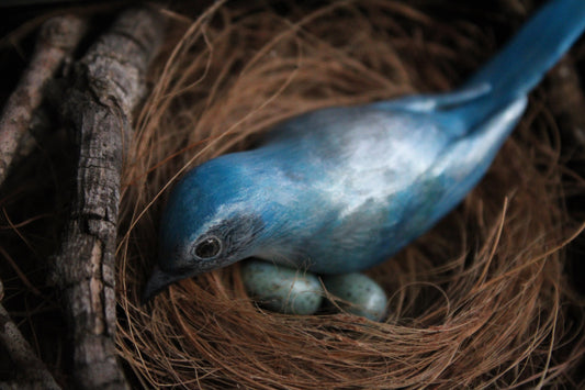 A Nest of Fierce Azure Love | Glass Shadowbox Sculpture