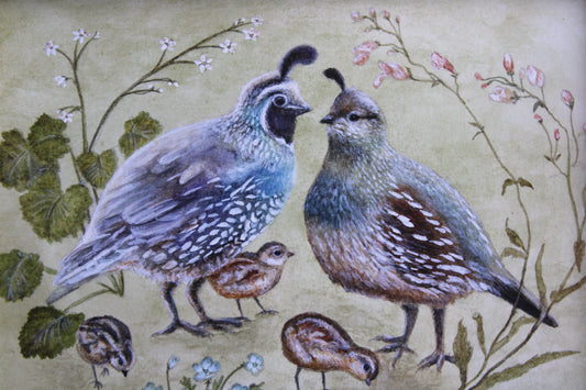 A Quail Family | Original Watercolor Painting