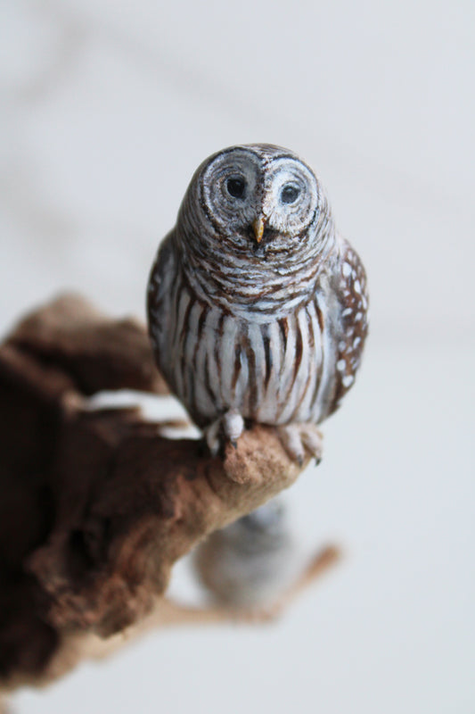 Barred Owl Family II | Wood Sculpture