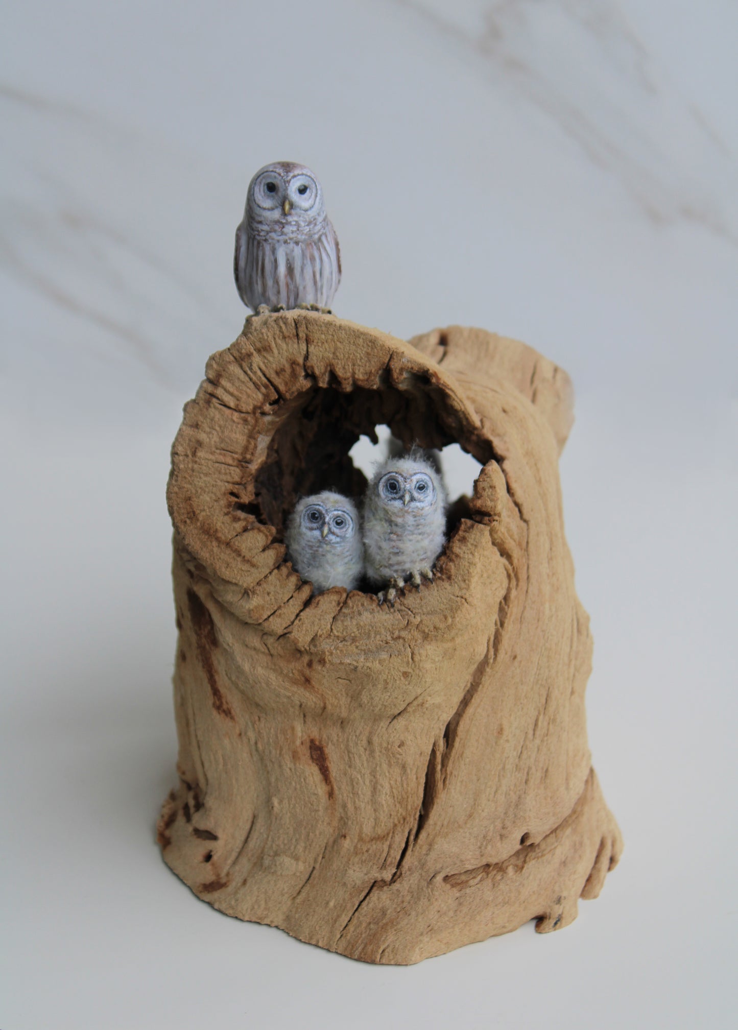 Barred Owl Family | Wood Sculpture