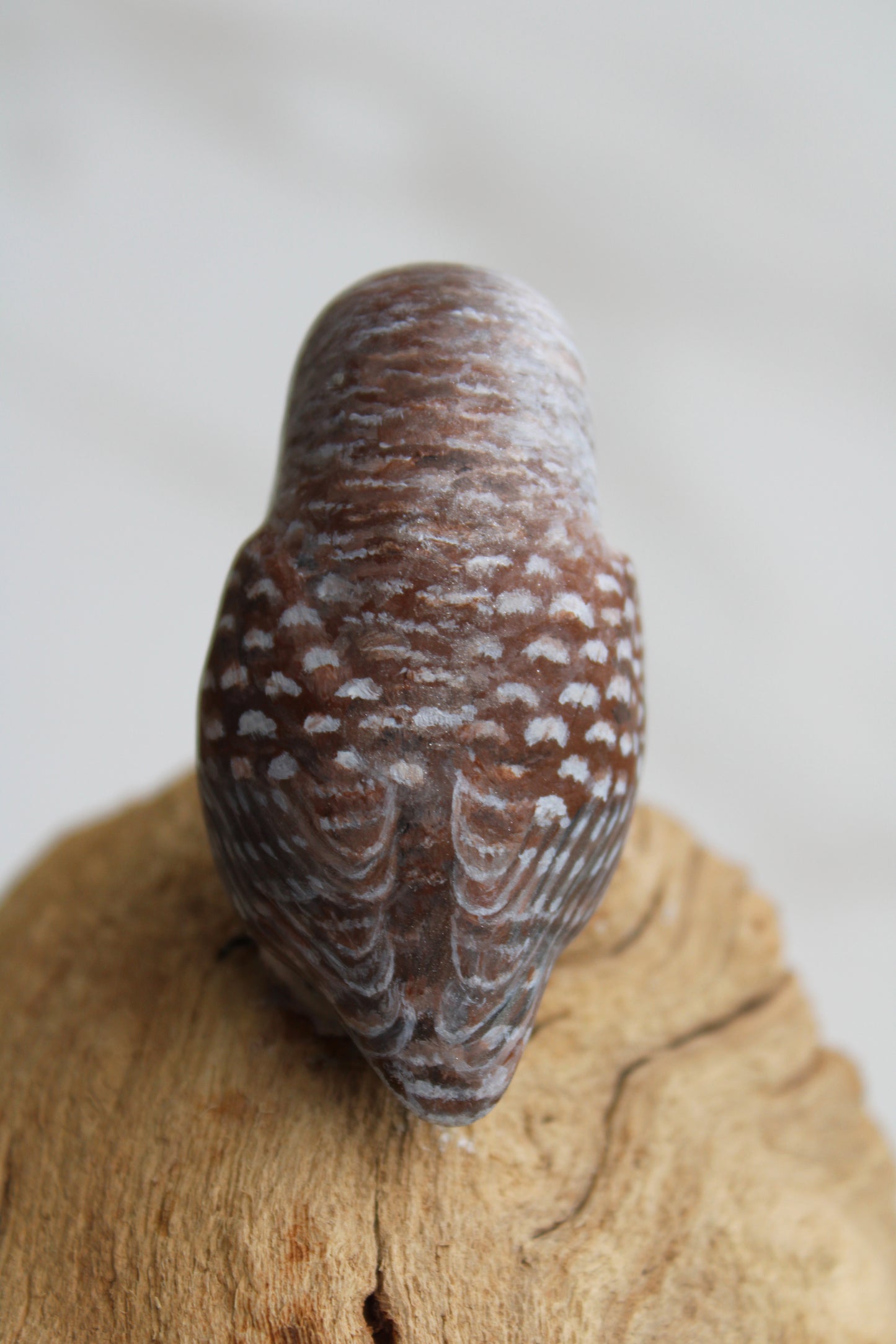 Barred Owl Family | Wood Sculpture