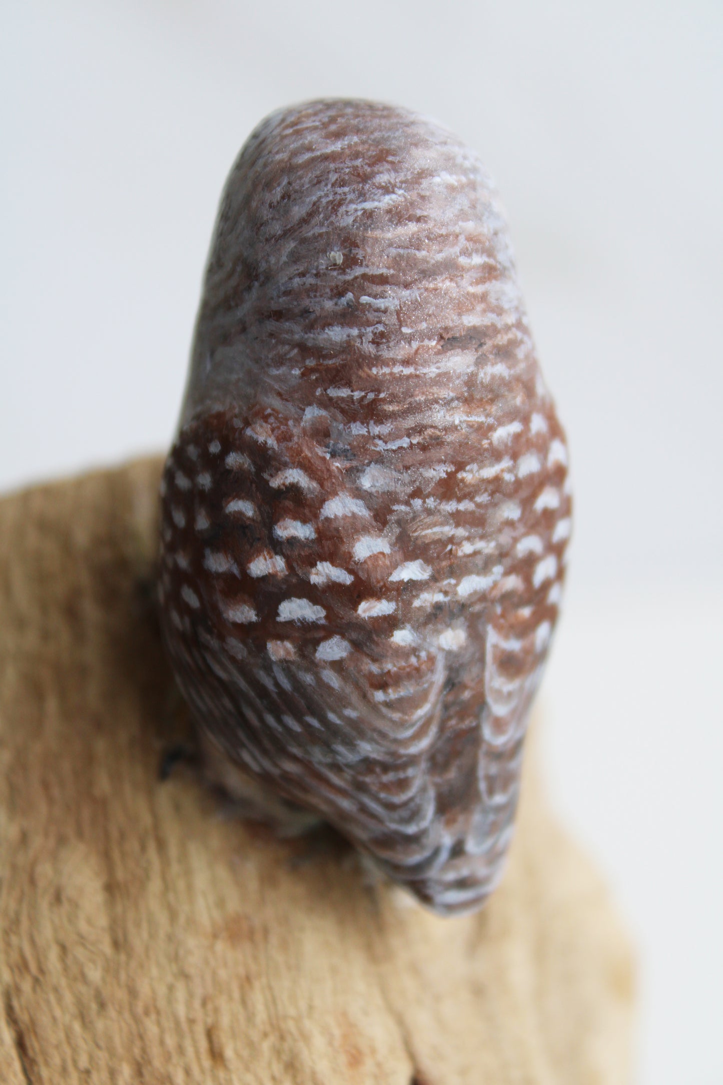 Barred Owl Family | Wood Sculpture