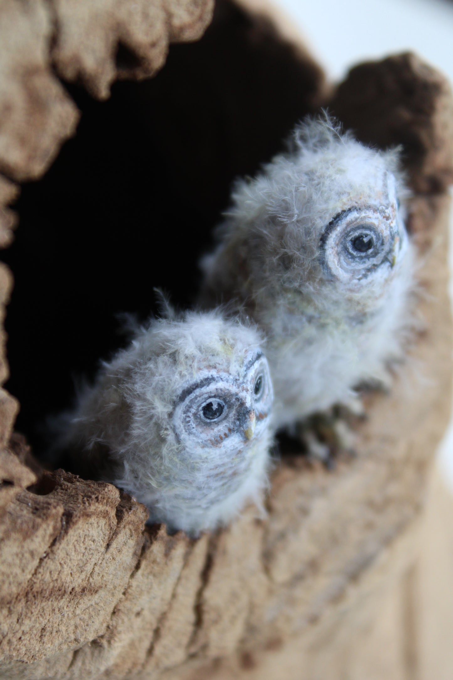 Barred Owl Family | Wood Sculpture