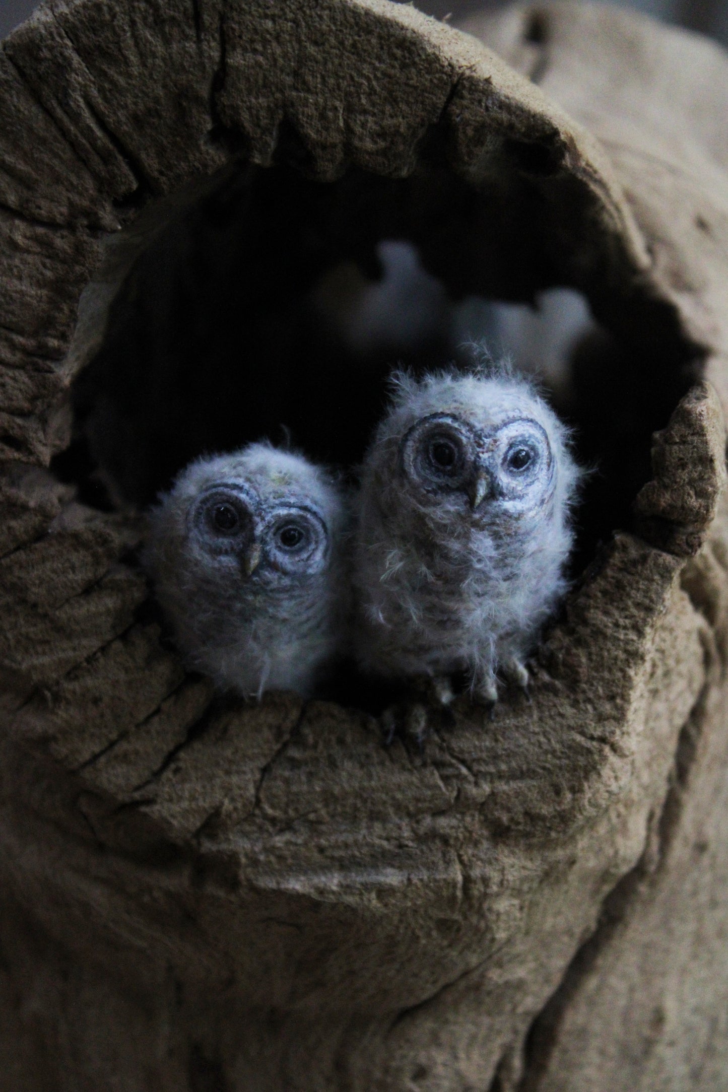 Barred Owl Family | Wood Sculpture