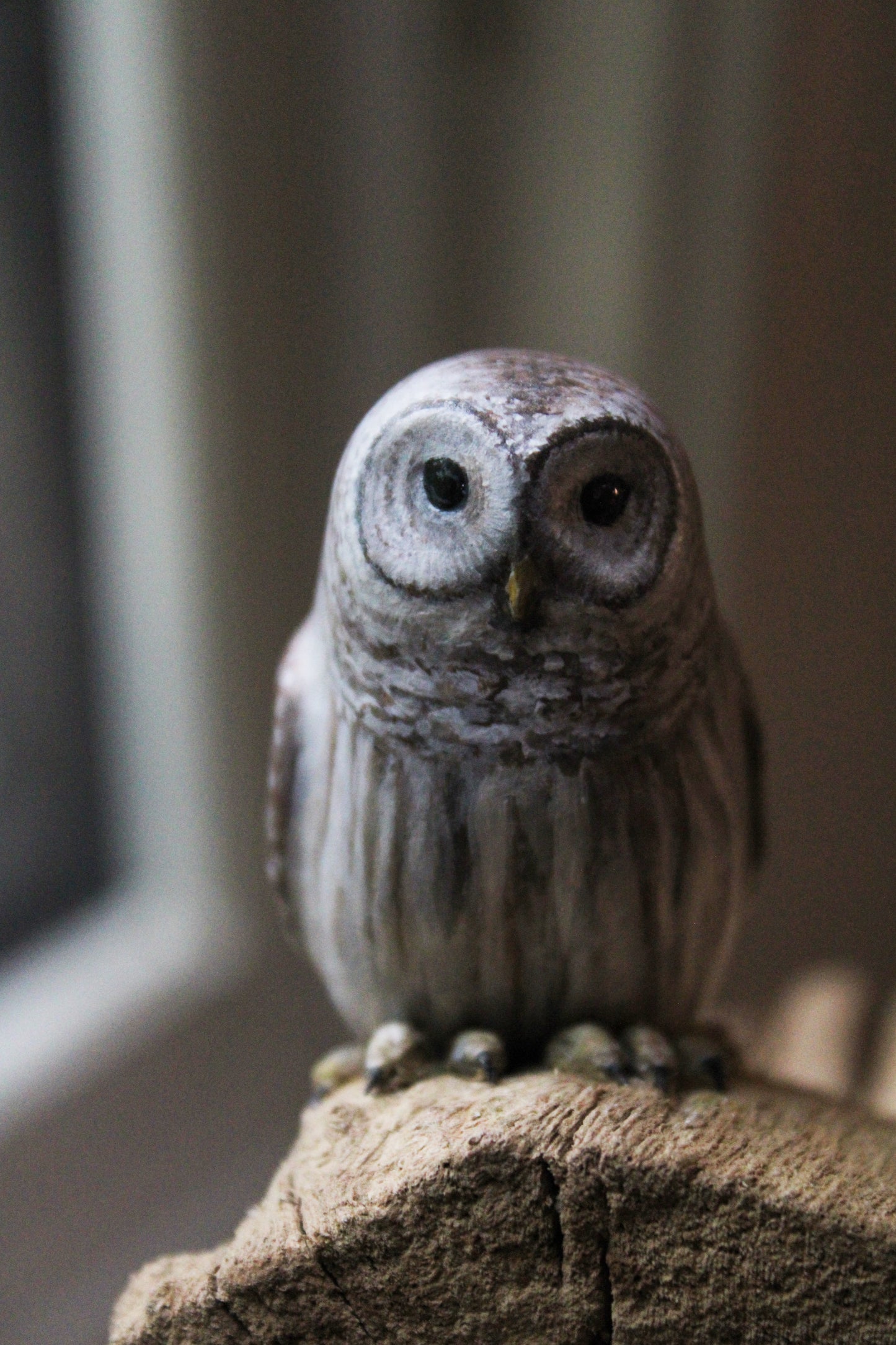 Barred Owl Family | Wood Sculpture