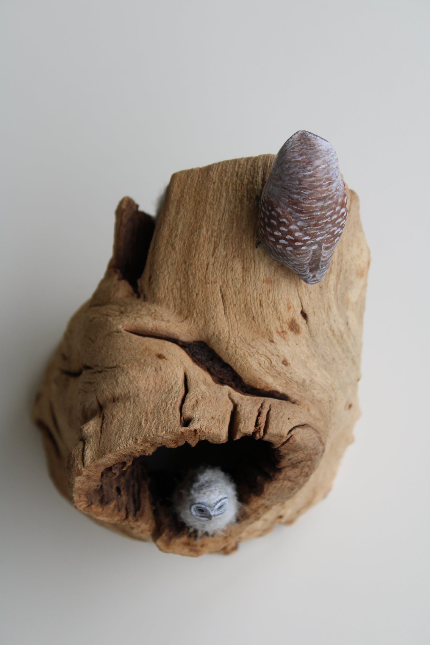 Barred Owl Family | Wood Sculpture