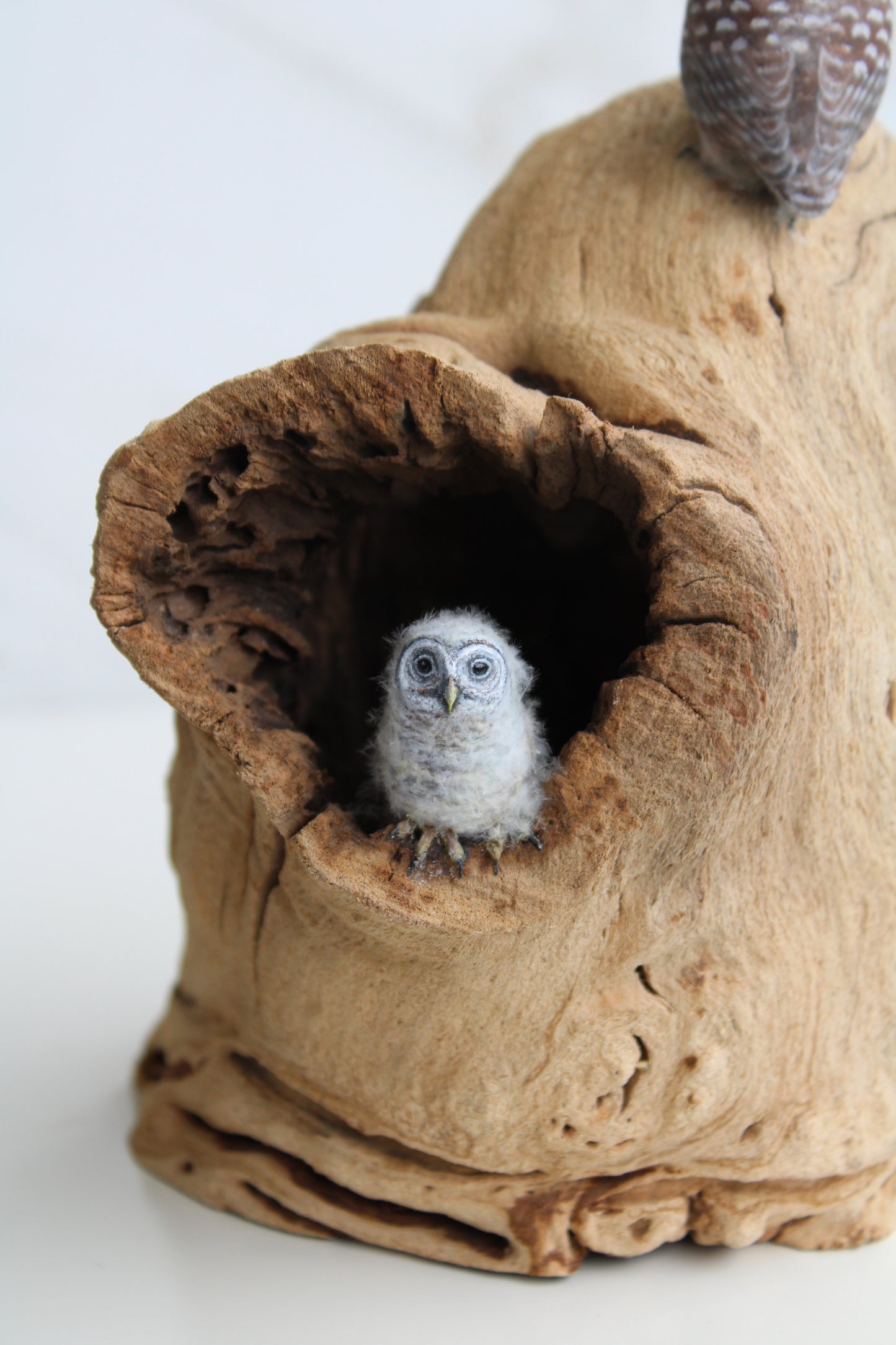 Barred Owl Family | Wood Sculpture