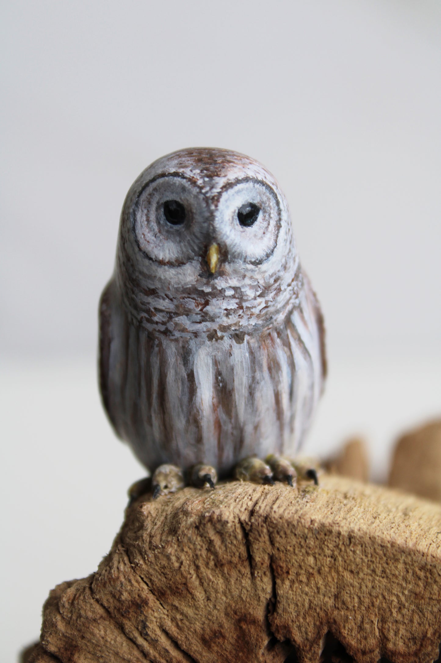 Barred Owl Family | Wood Sculpture
