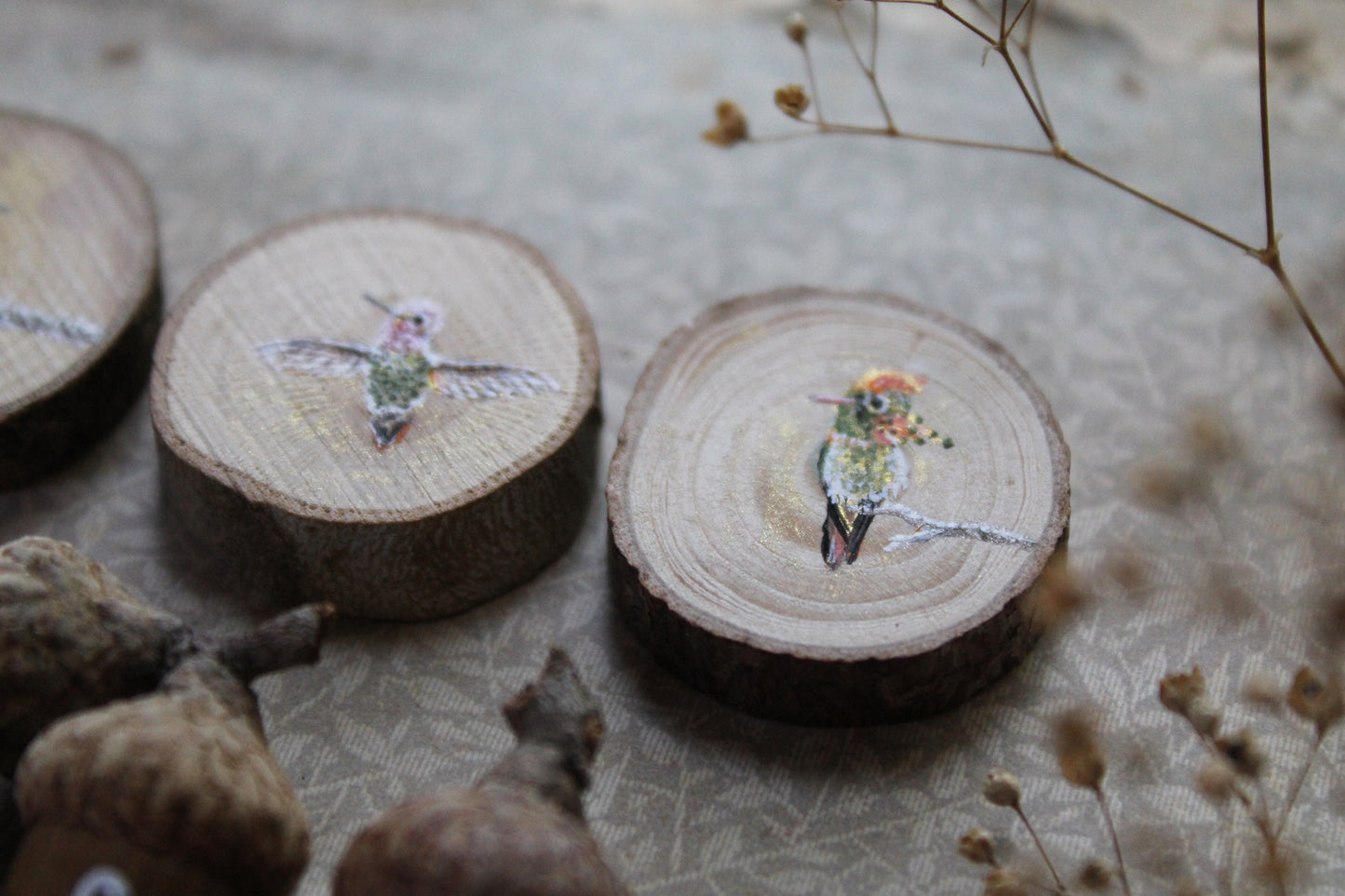 Faerie Coins | Painted Acorns and Wood Slices