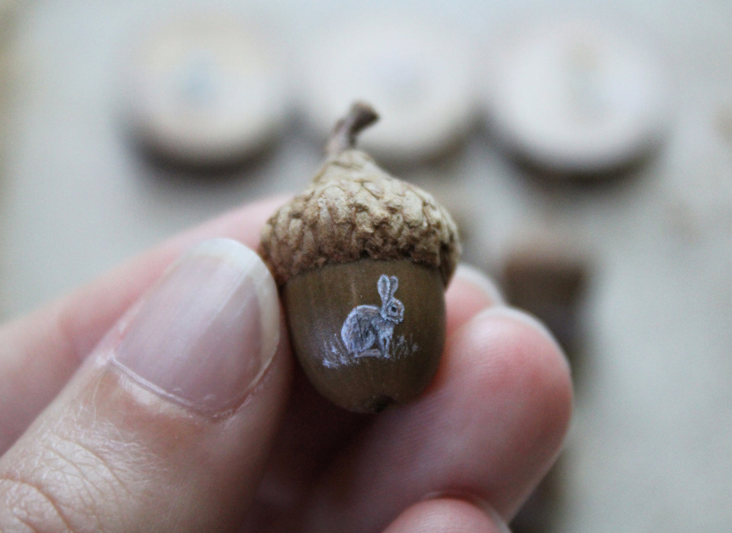 Faerie Coins | Painted Acorns and Wood Slices