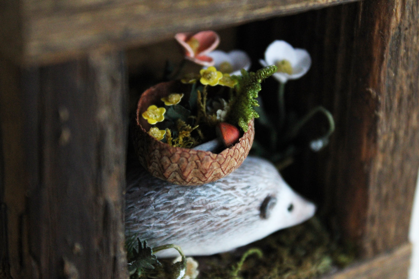Gathering from the Meadows | Wooden Shadowbox