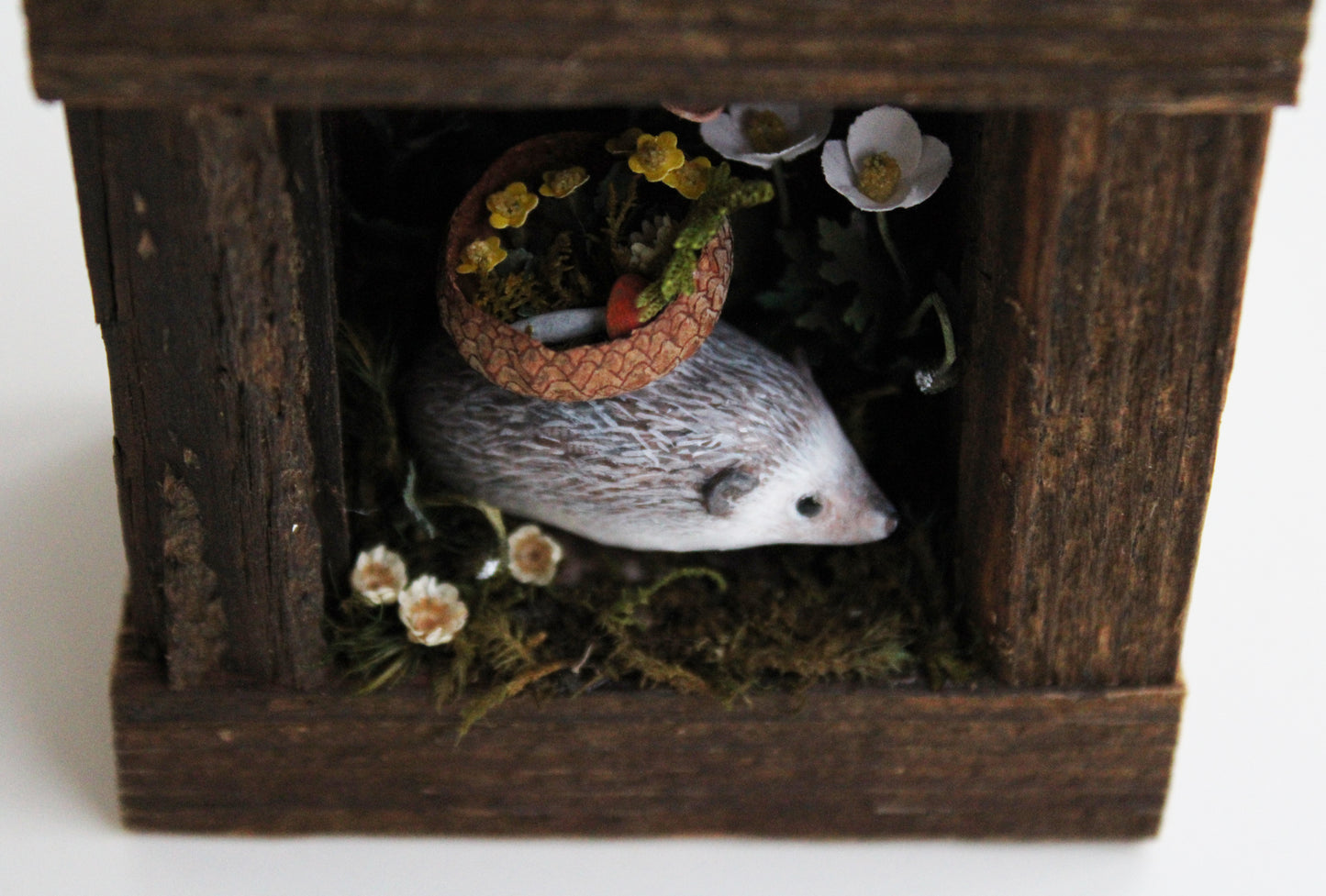 Gathering from the Meadows | Wooden Shadowbox