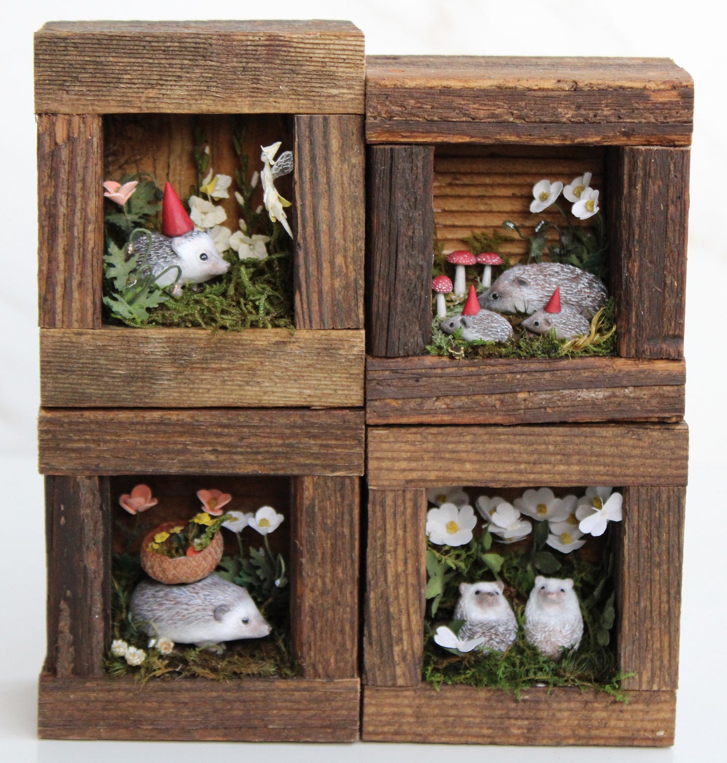 Rose Moth Watching | Wooden Shadowbox