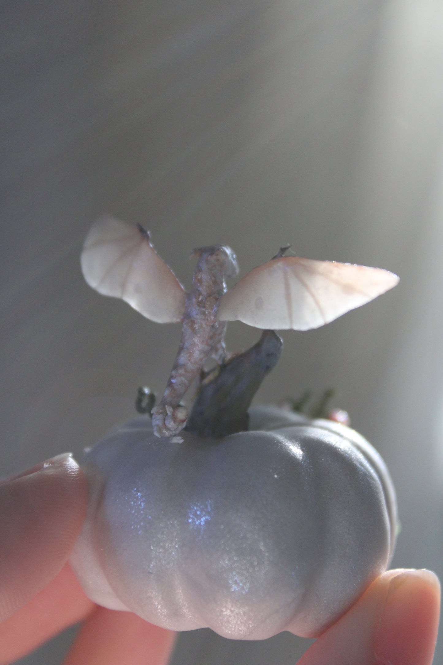 Home to a Dragonlet | Pumpkin Home Figurine