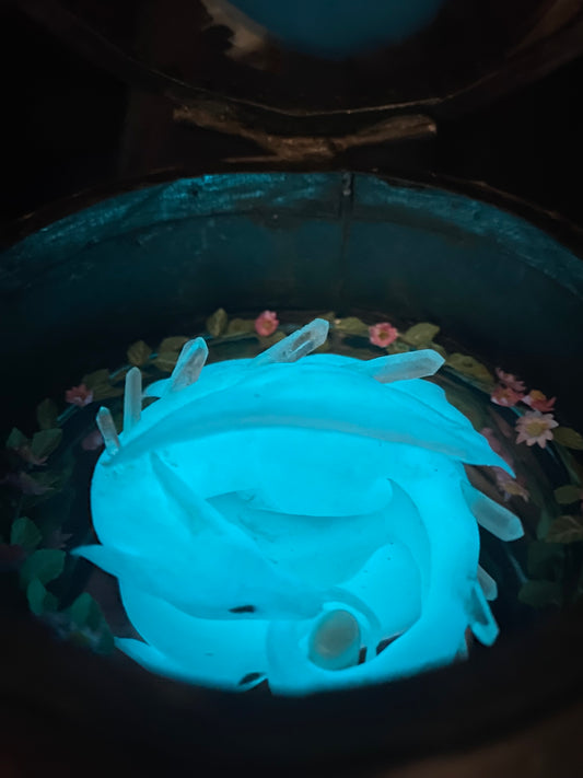 A Dragon’s Nest | Glass Shadowbox Sculpture