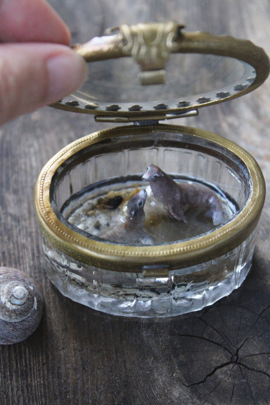 The Warmth & Adventures of Summer | Glass Shadowbox Sculpture