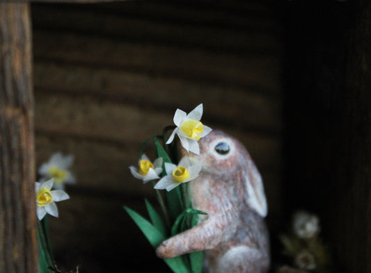 Spring's Treasures | Wooden Shadowbox