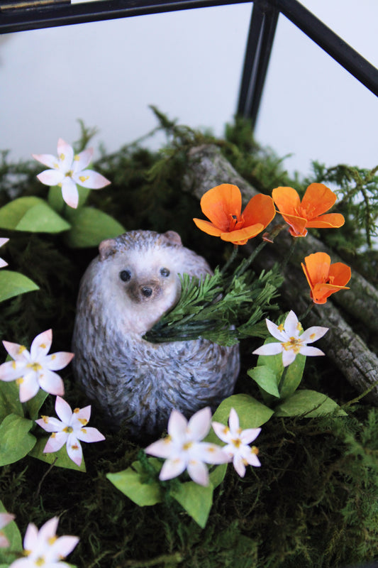 The Treasures of a Wildflower Meadow | Glass Shadowbox Sculpture