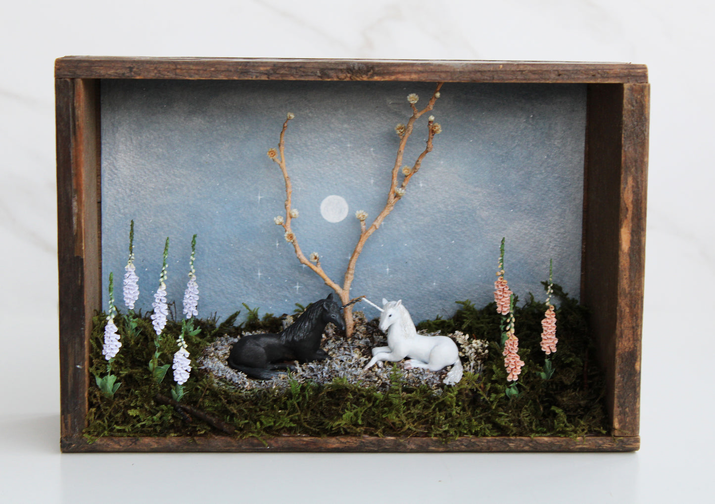 Midnight Ephemerality II | Wooden Shadowbox