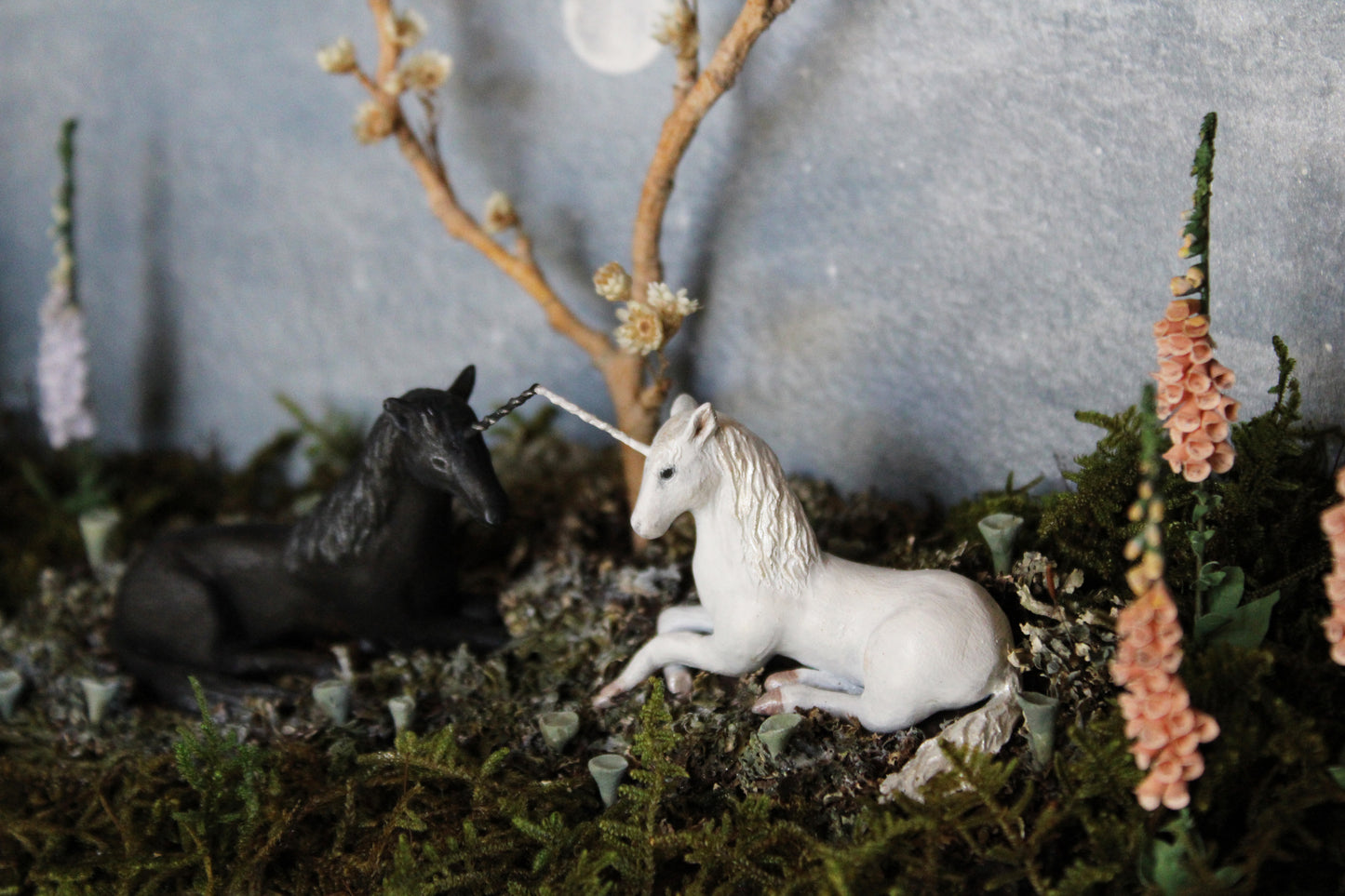 Midnight Ephemerality II | Wooden Shadowbox