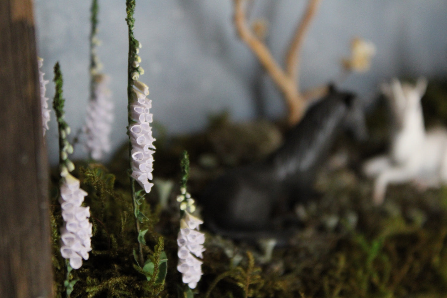 Midnight Ephemerality II | Wooden Shadowbox
