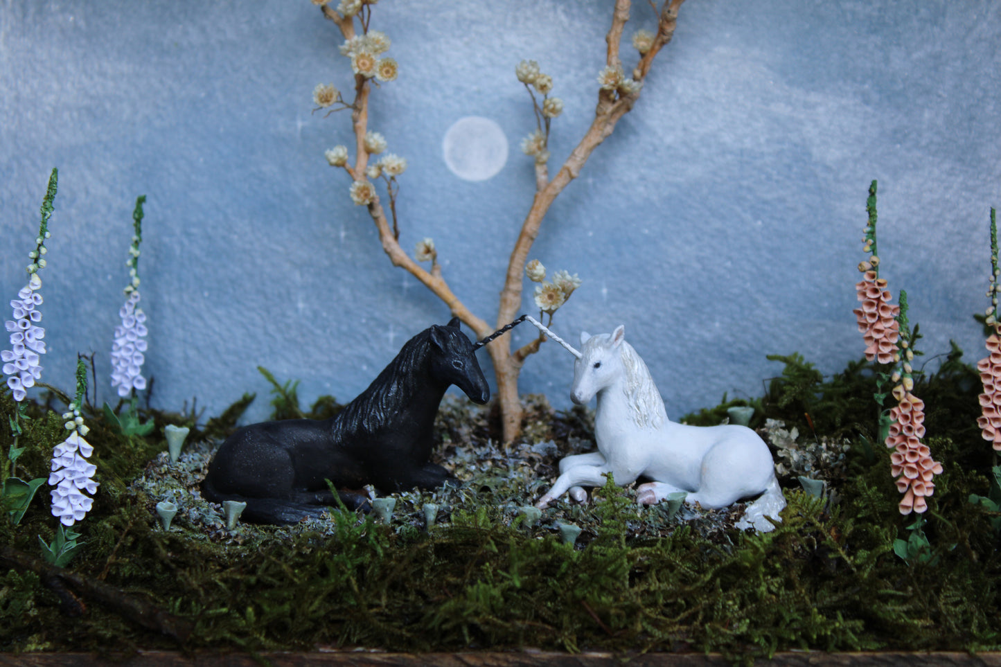 Midnight Ephemerality II | Wooden Shadowbox