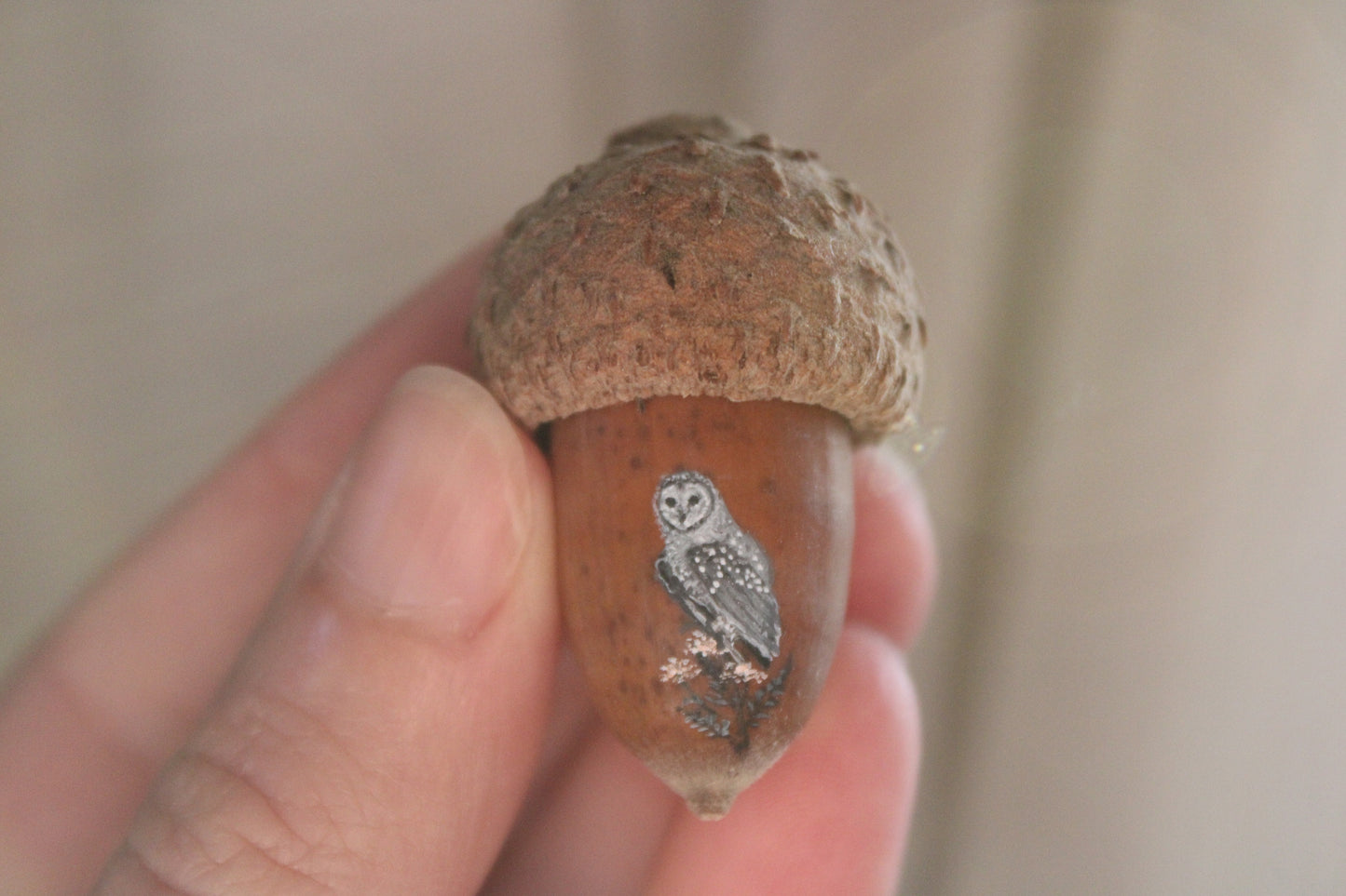 Owl Painted Acorns | Faerie Coins