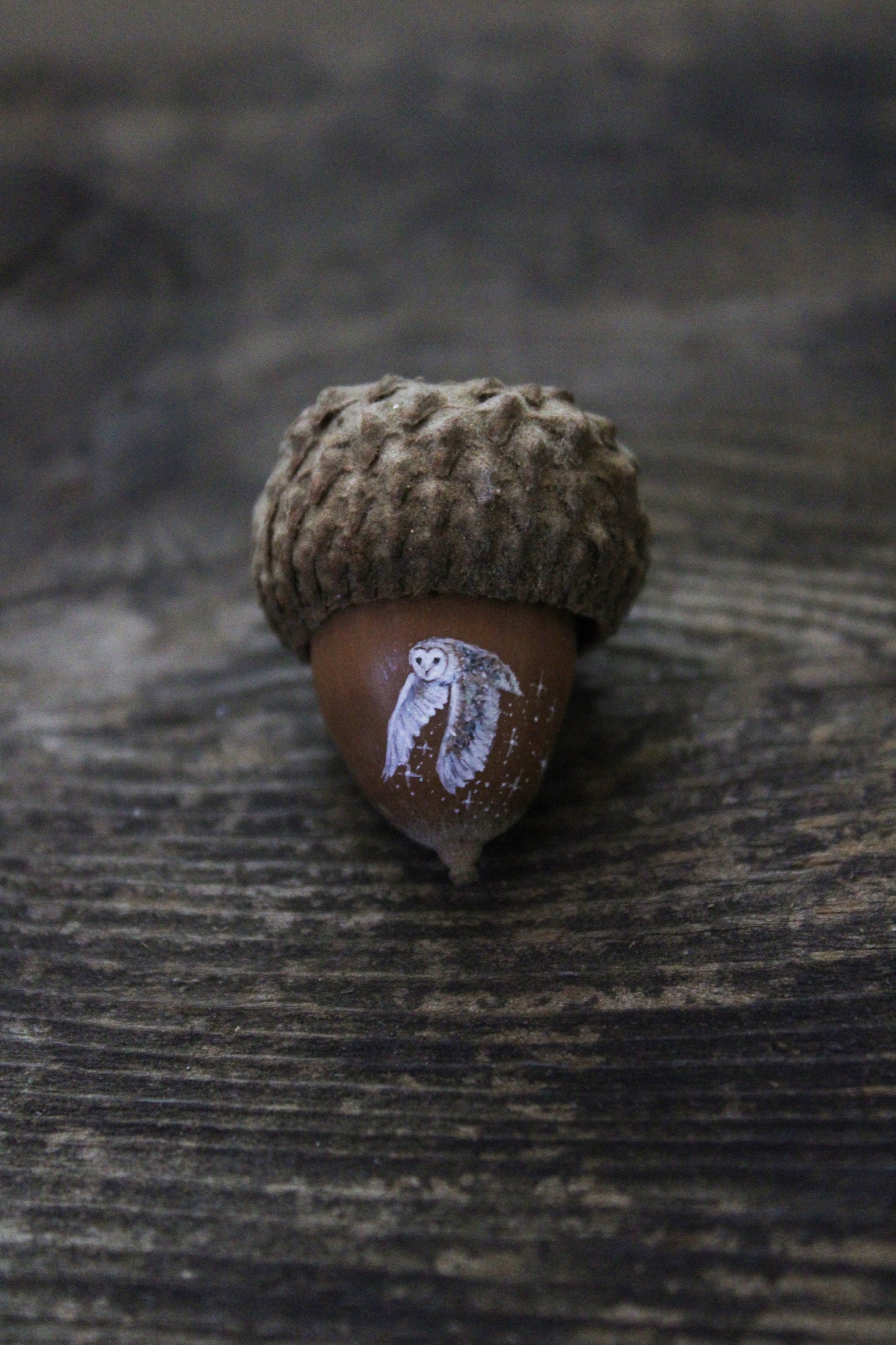 Owl Painted Acorns | Faerie Coins