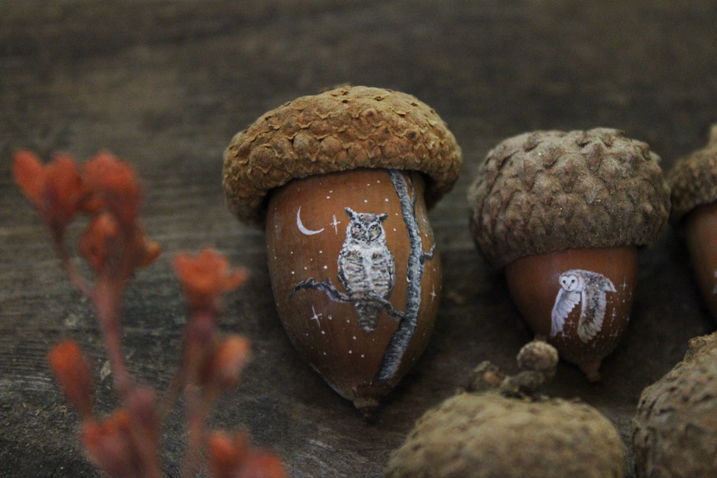 Owl Painted Acorns | Faerie Coins