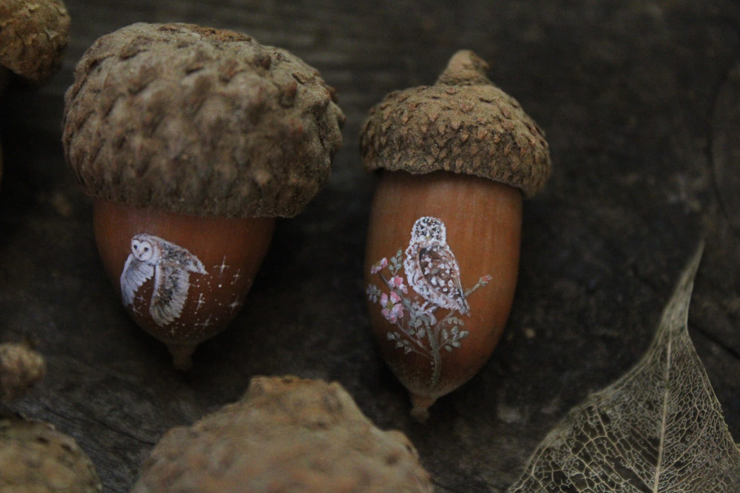 Owl Painted Acorns | Faerie Coins