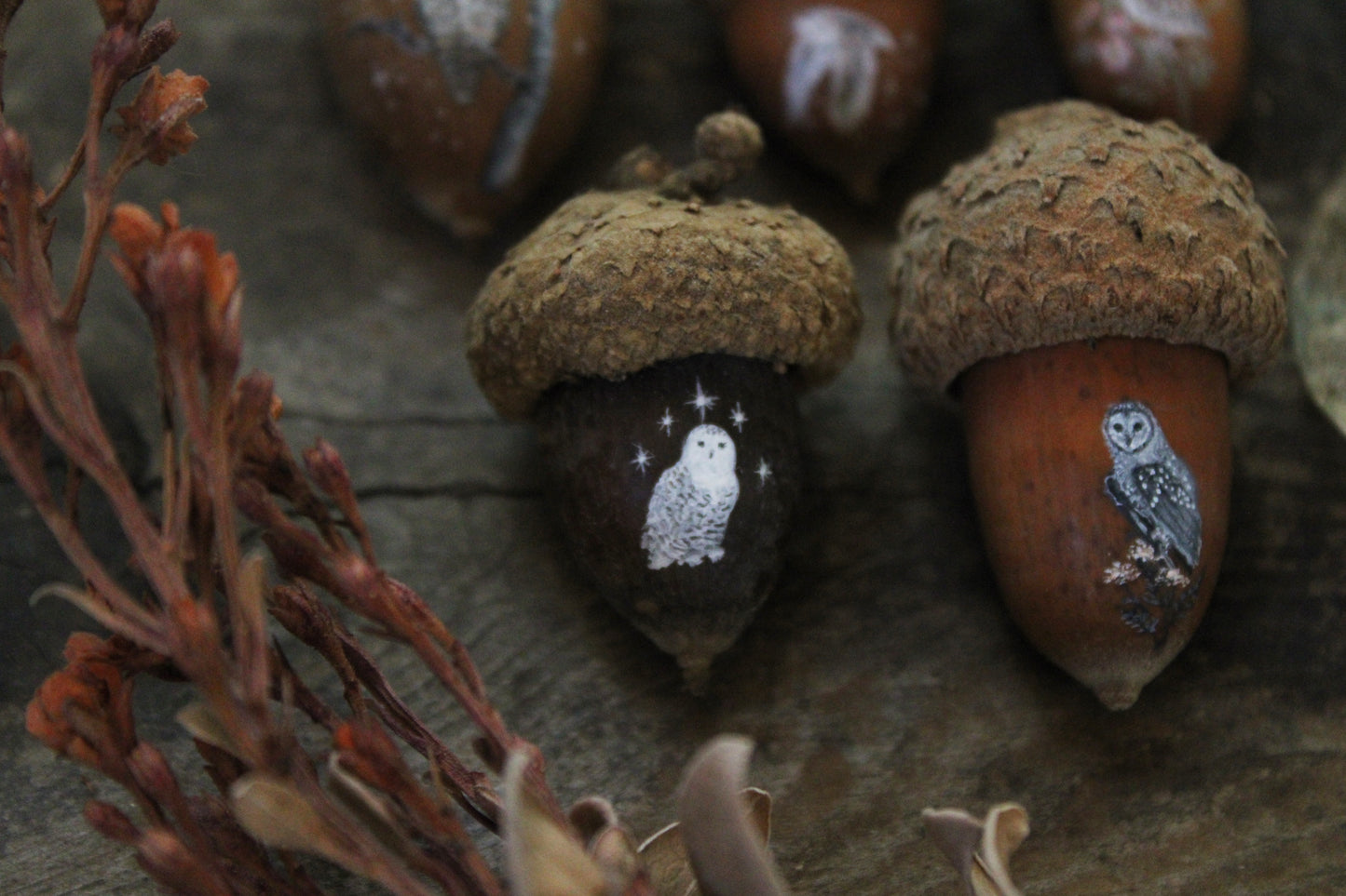 Owl Painted Acorns | Faerie Coins
