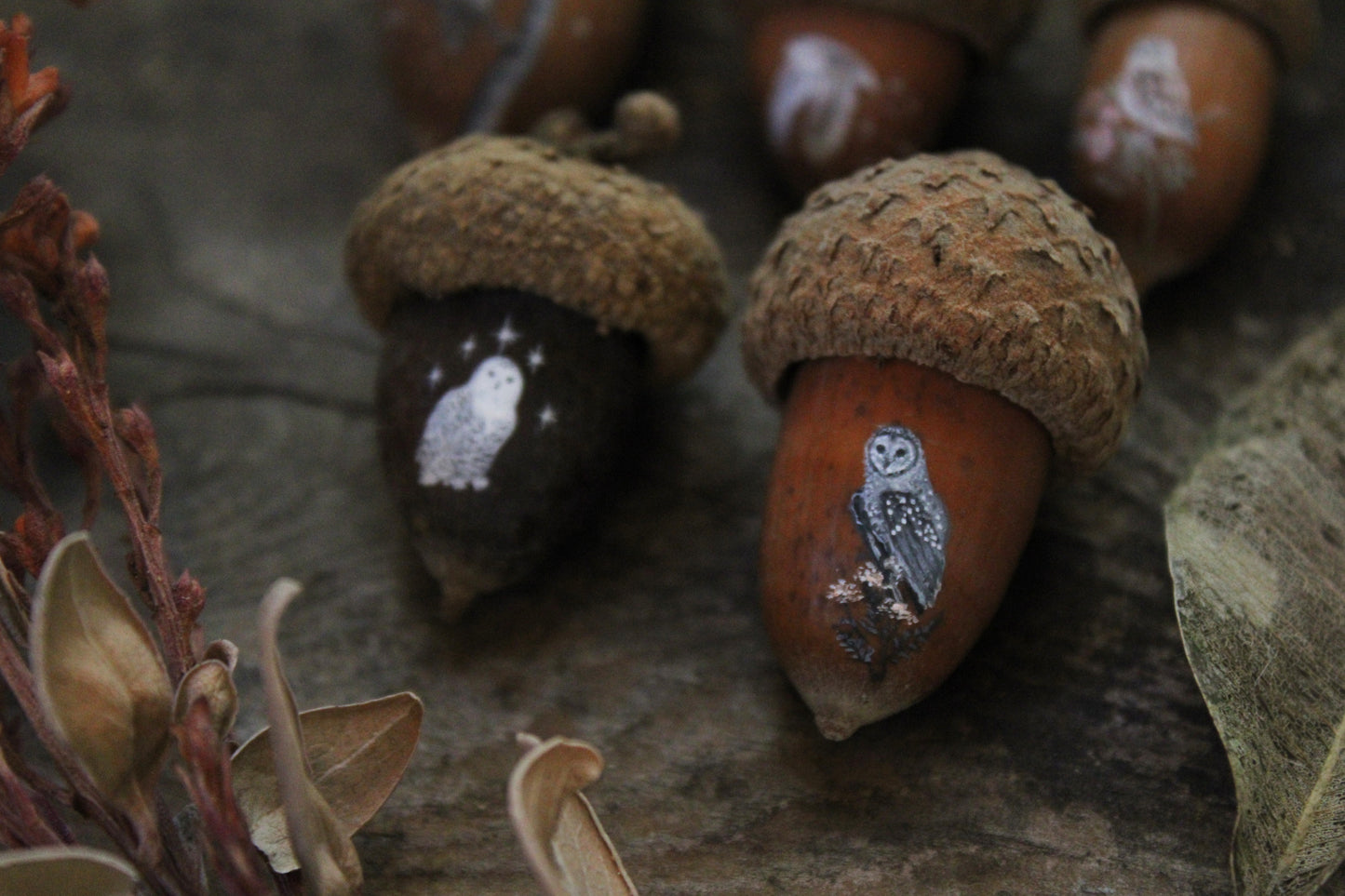 Owl Painted Acorns | Faerie Coins