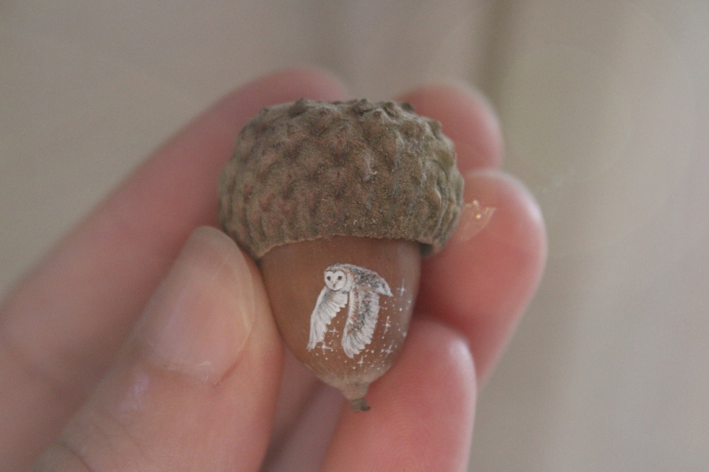 Owl Painted Acorns | Faerie Coins