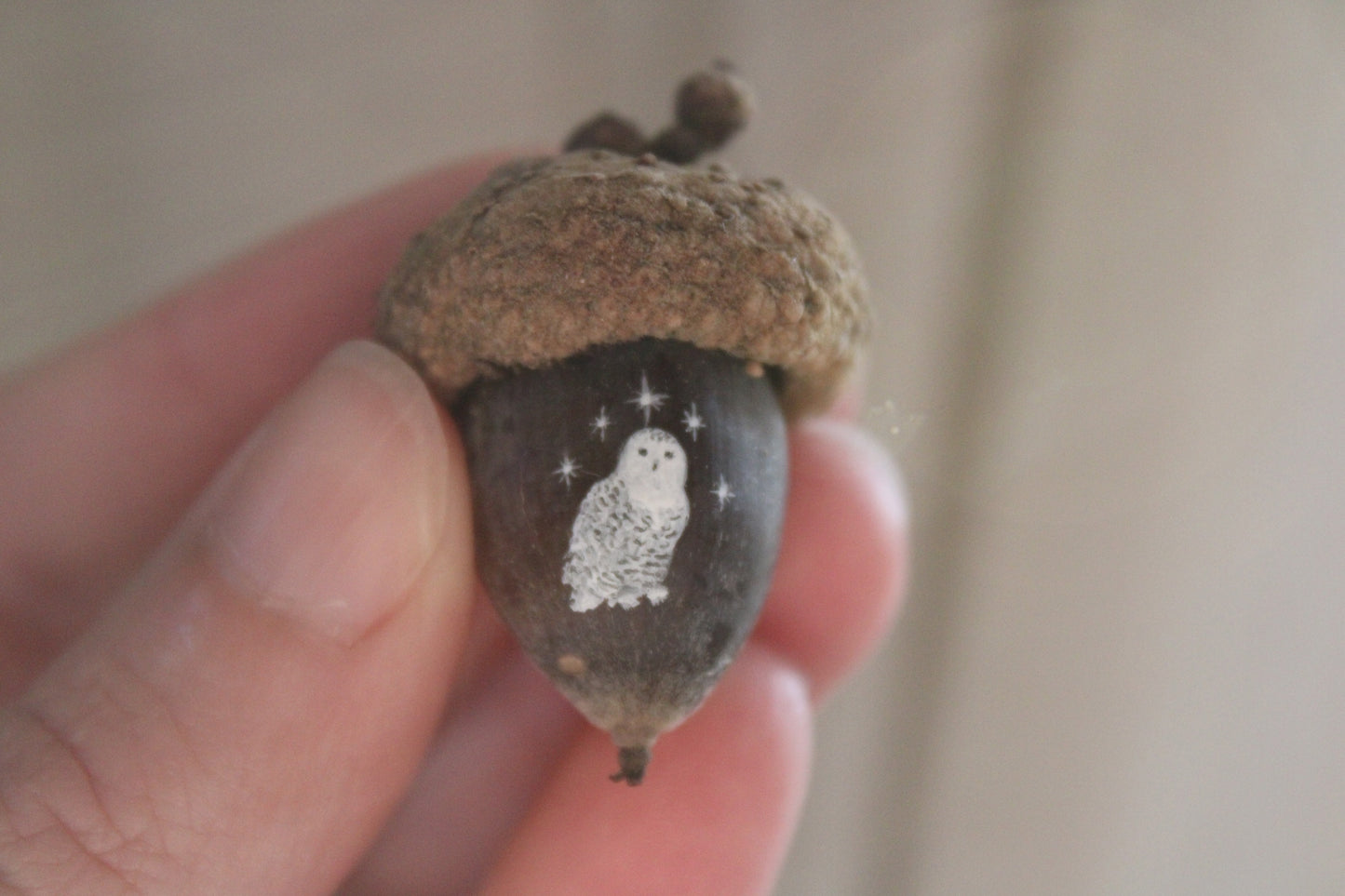 Owl Painted Acorns | Faerie Coins
