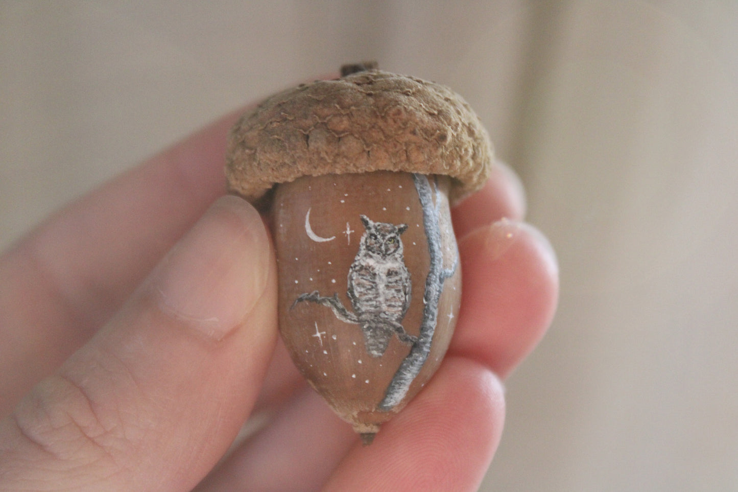 Owl Painted Acorns | Faerie Coins
