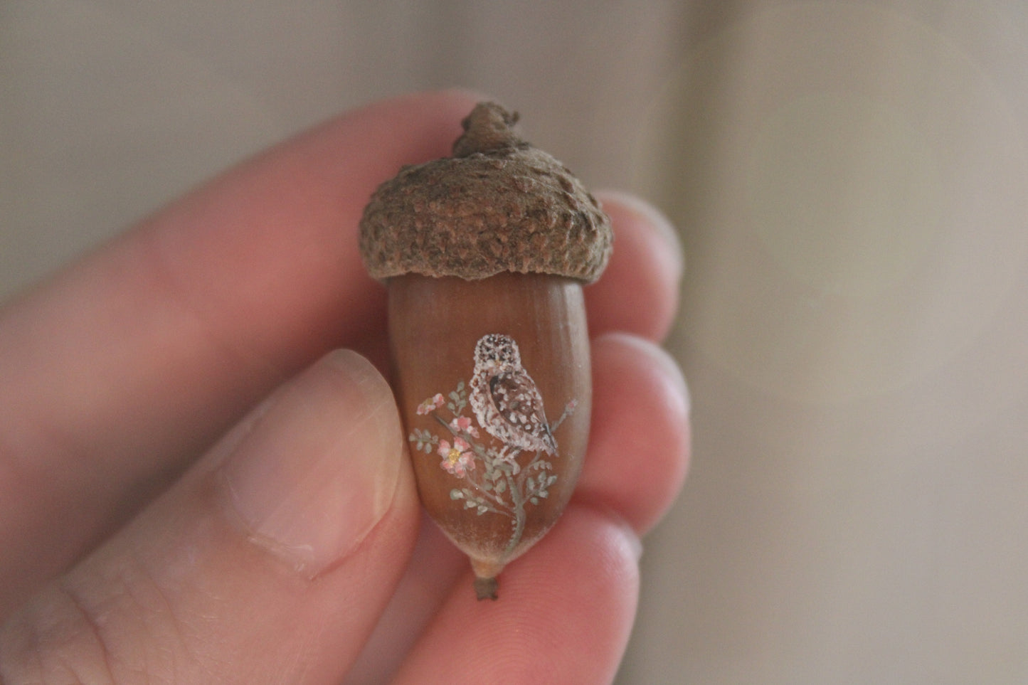 Owl Painted Acorns | Faerie Coins