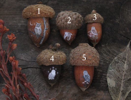 Owl Painted Acorns | Faerie Coins