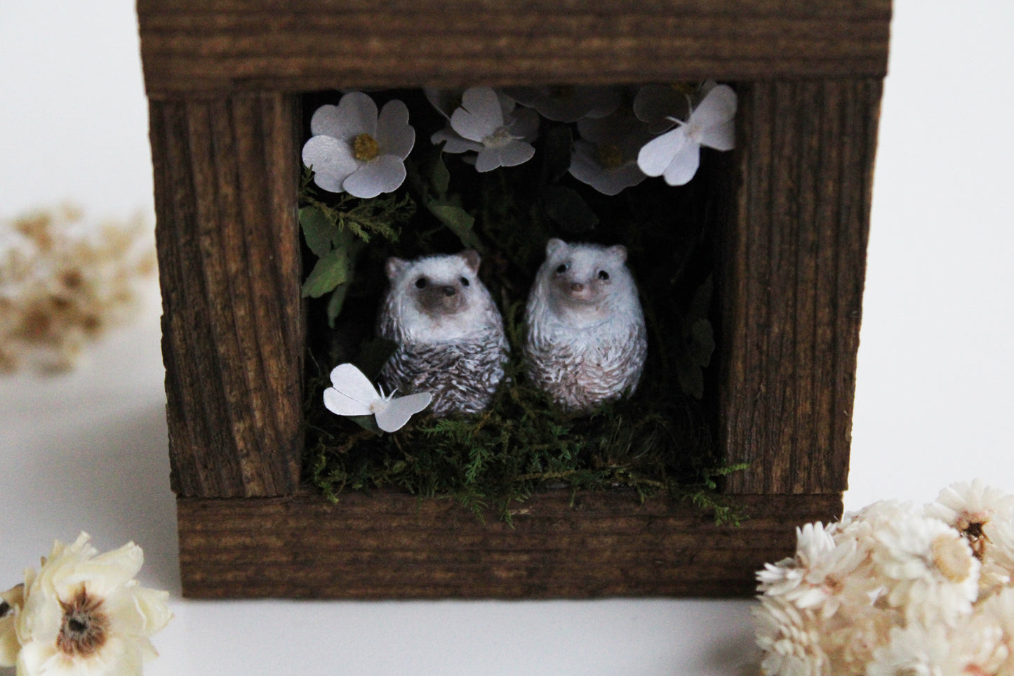 Rose Moth Watching | Wooden Shadowbox