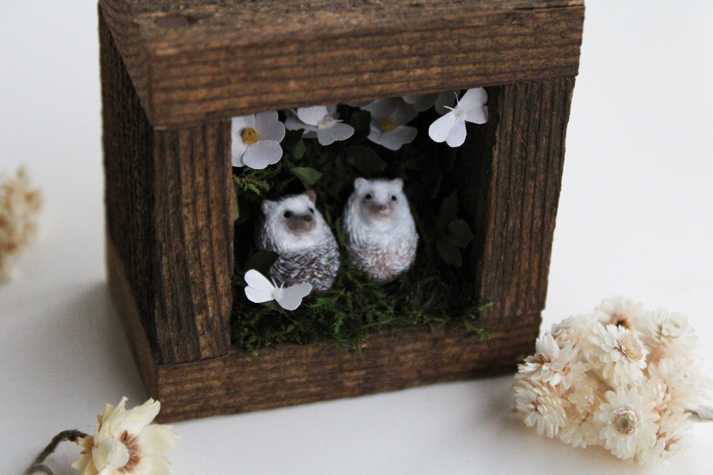 Rose Moth Watching | Wooden Shadowbox