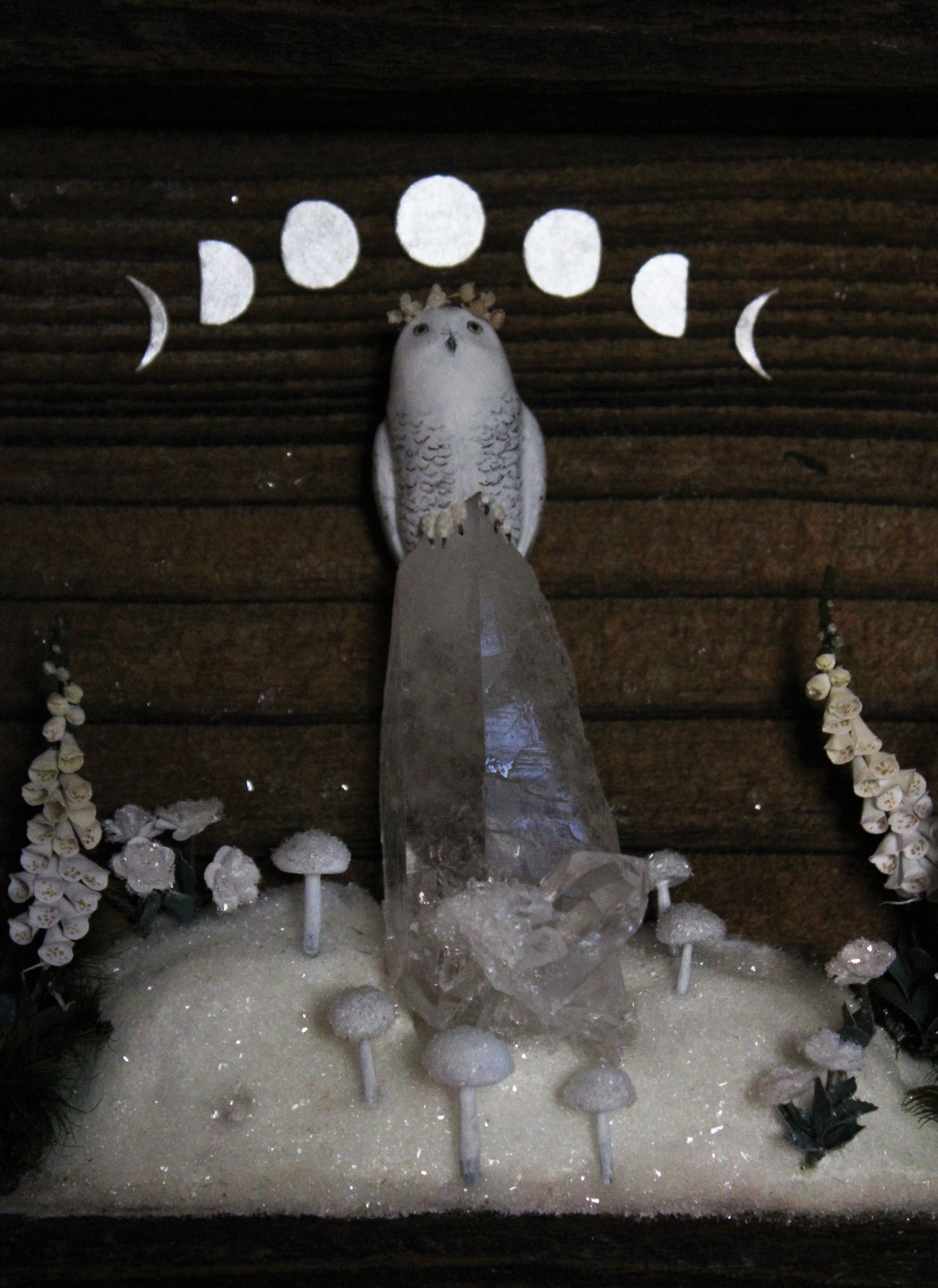 Winter's Transition to Spring | Wooden Shadowbox