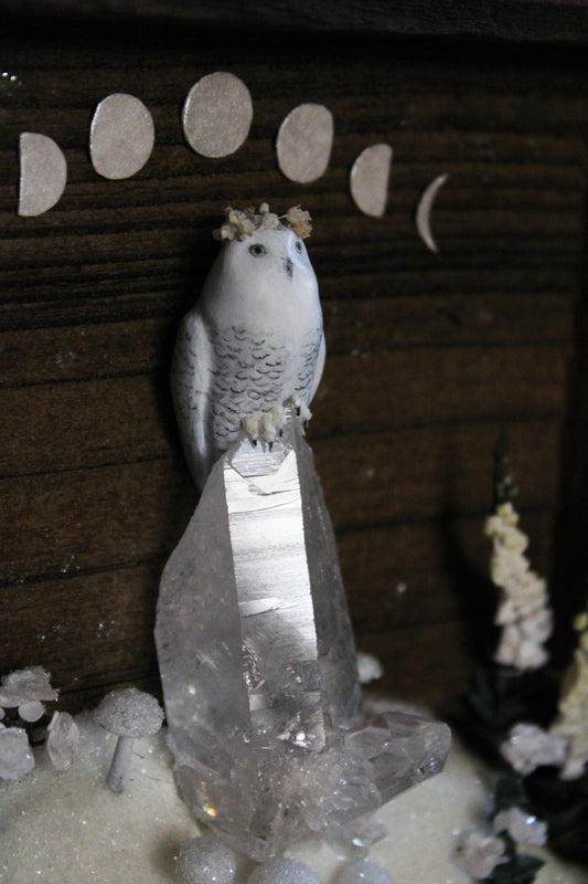 Winter's Transition to Spring | Wooden Shadowbox