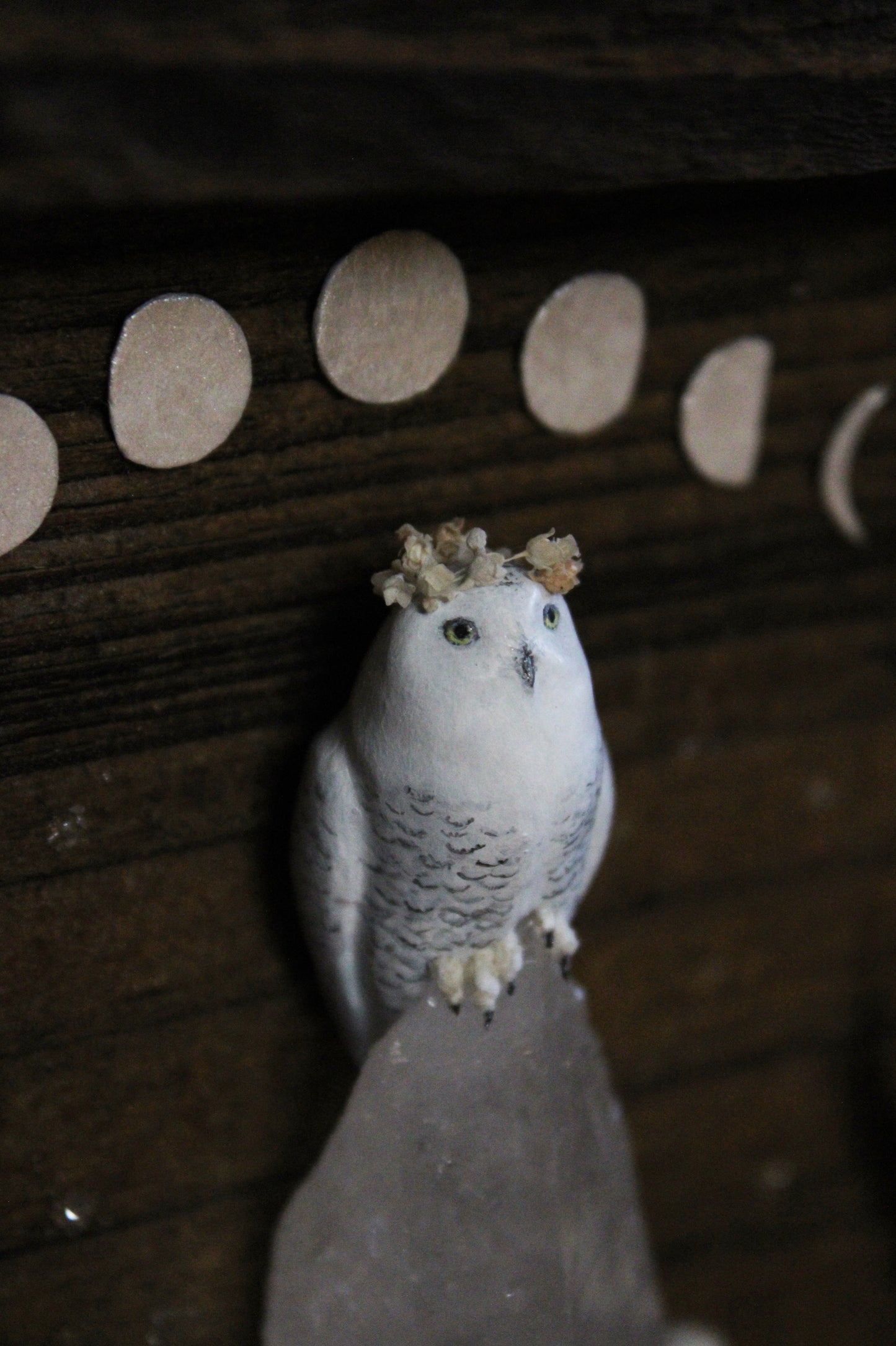 Winter's Transition to Spring | Wooden Shadowbox