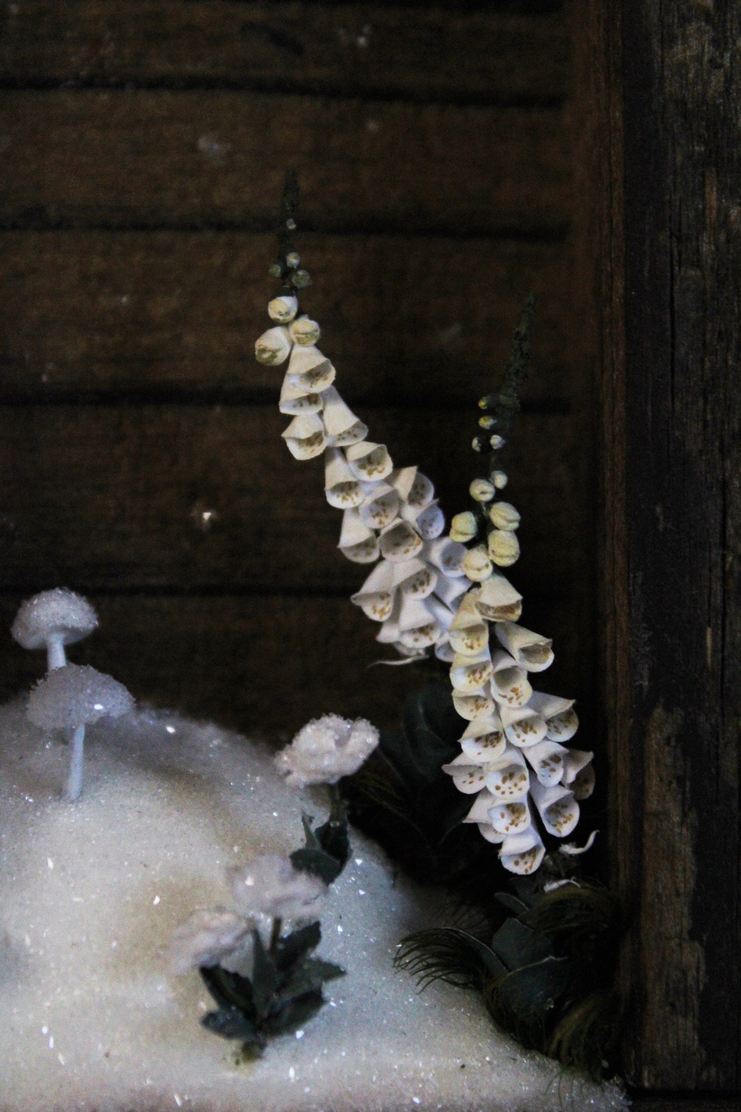 Winter's Transition to Spring | Wooden Shadowbox
