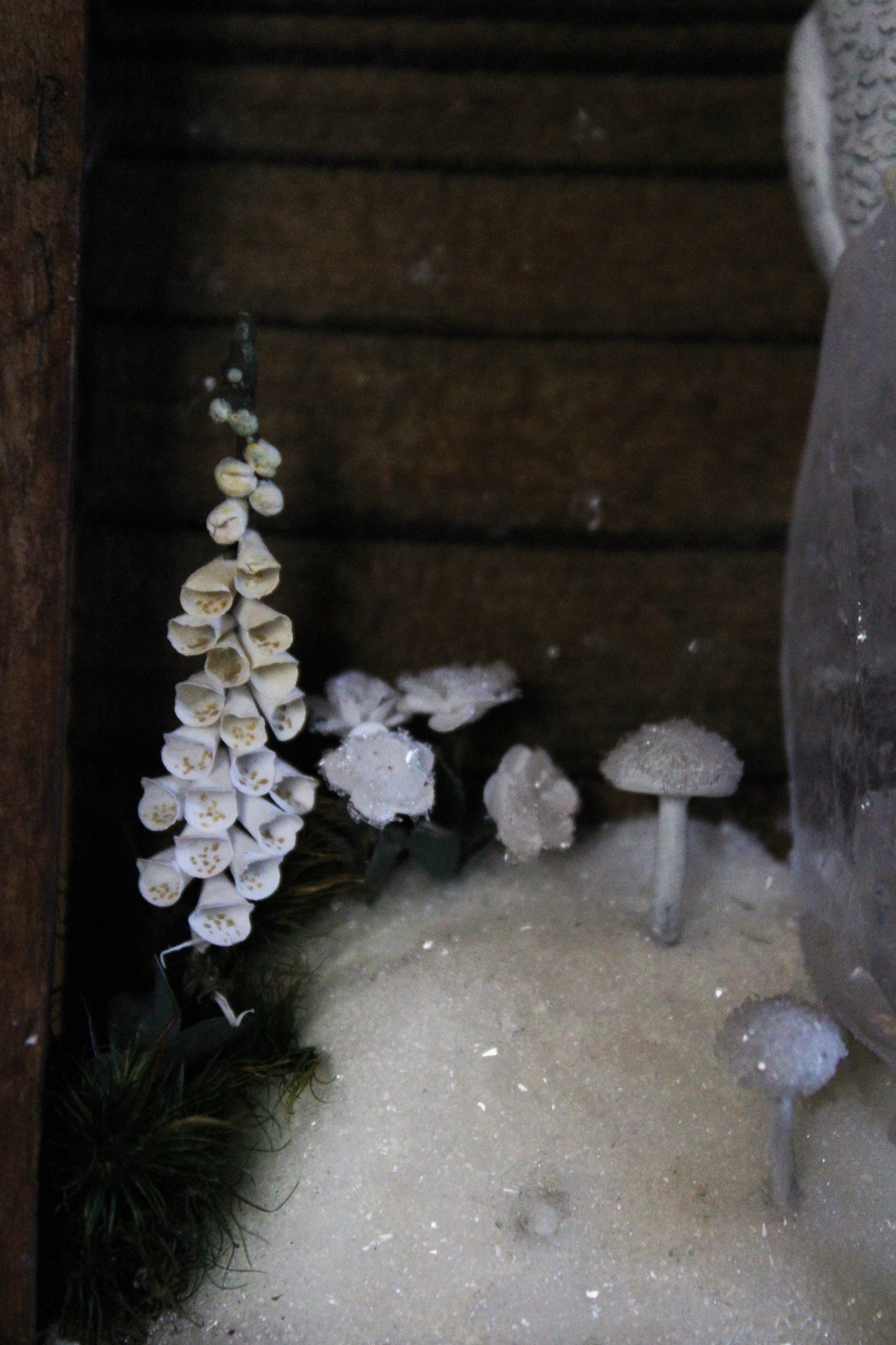Winter's Transition to Spring | Wooden Shadowbox