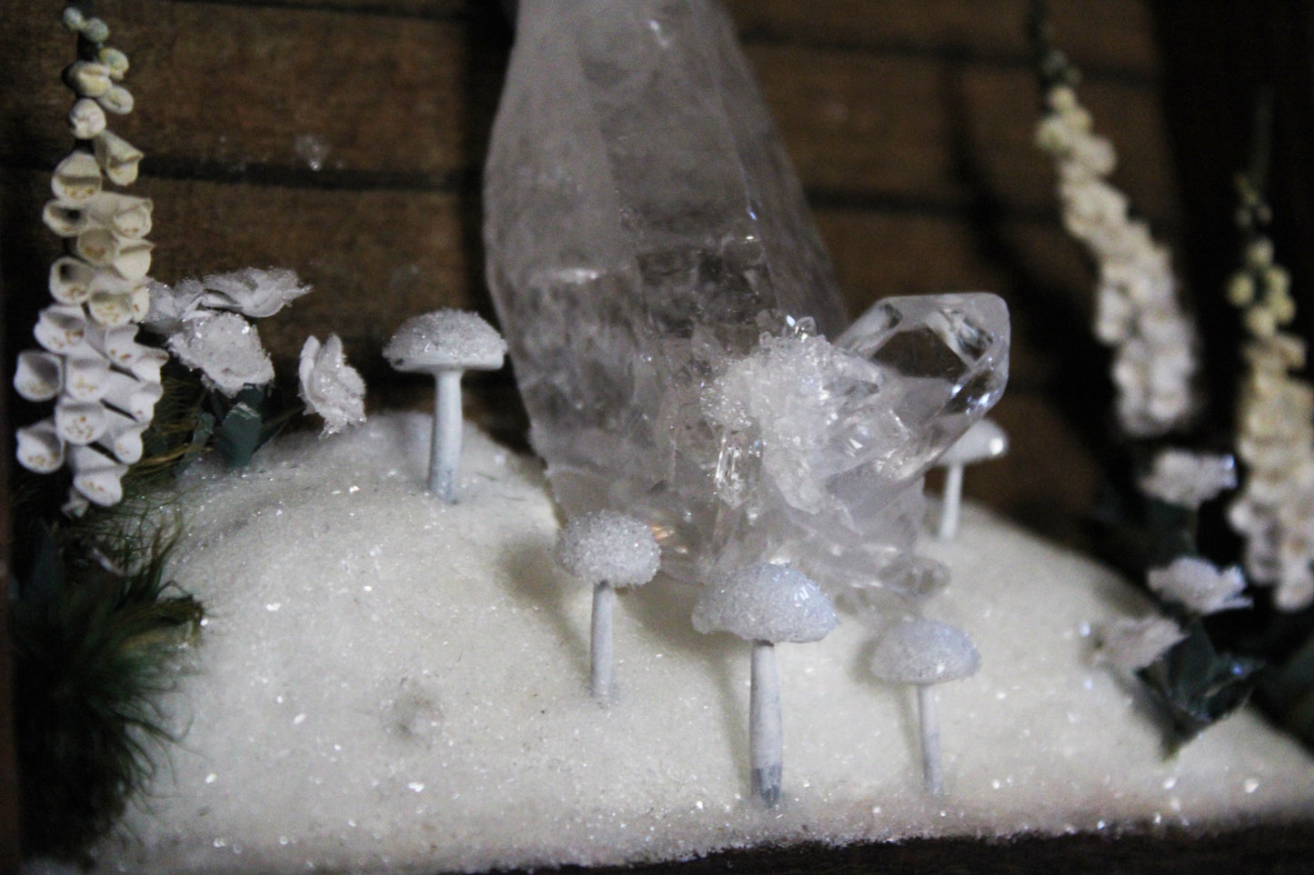 Winter's Transition to Spring | Wooden Shadowbox