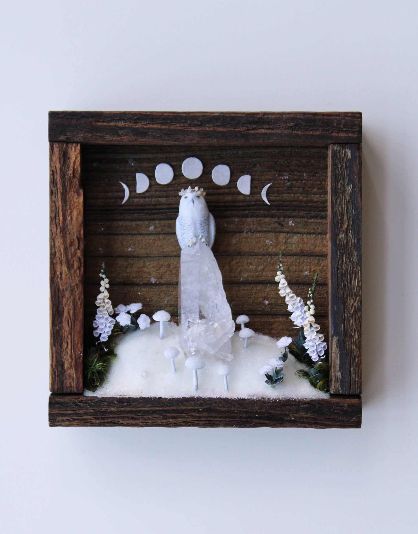Winter's Transition to Spring | Wooden Shadowbox