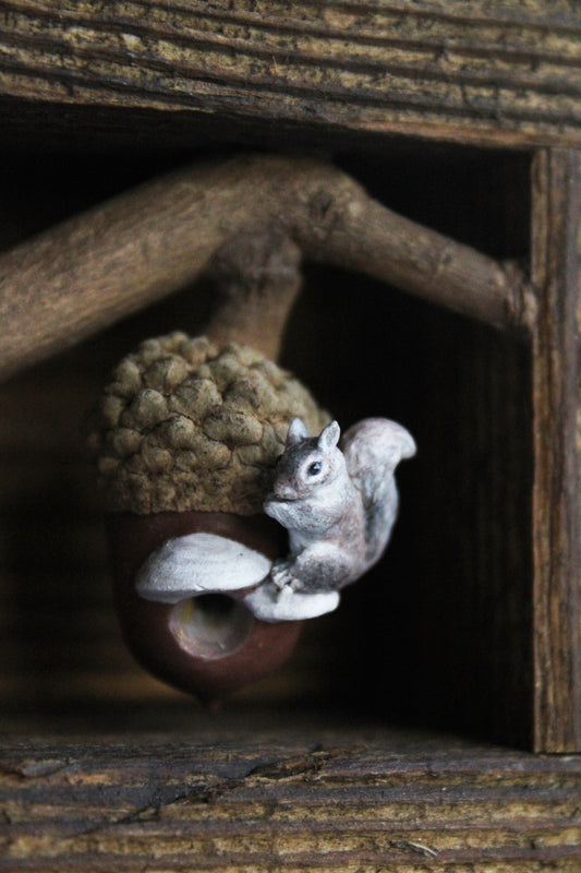 A Squirrel's Acorn Home II | Wooden Shadowbox